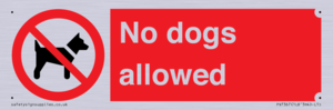 No dogs allowed